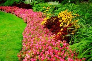 Schöner und geflegter Garten
